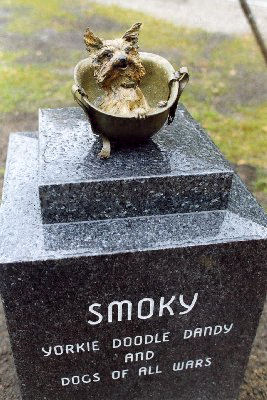 smokey the yorkie veteran s was a loved mascot for unit during wwii smokey the yorkie veteran s was a loved mascot for unit during wwii