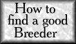 Buying from a breeder