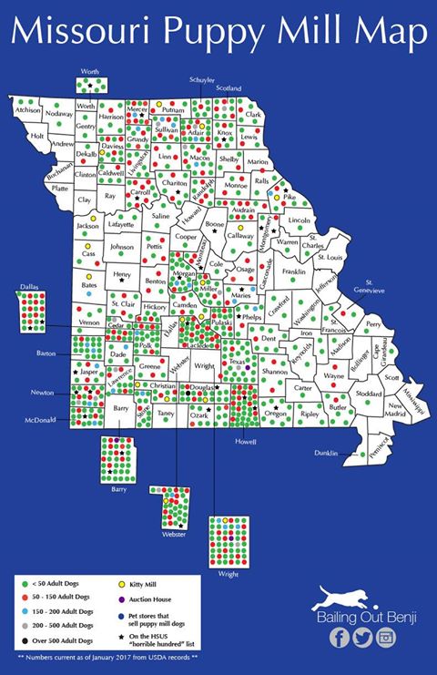 Puppymill map