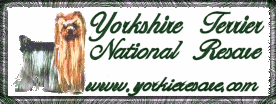 Yorkierescue.com