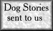 Dog Stories