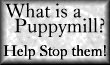What is a puppymill